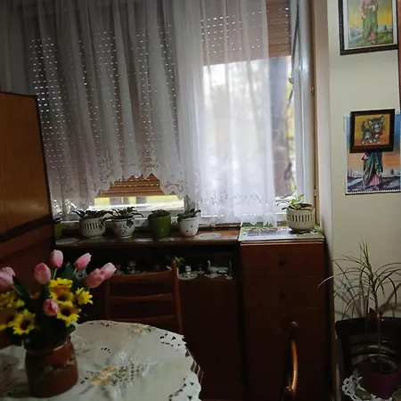 Rajka Apartment Belgrade